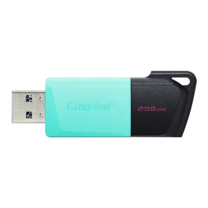 Kingston DataTraveler Exodia M USB 3.2 Gen 1 DTXM/256GB