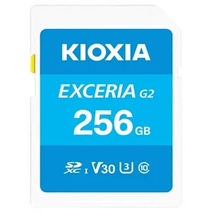 KIOXIA LNEX2L256GG4